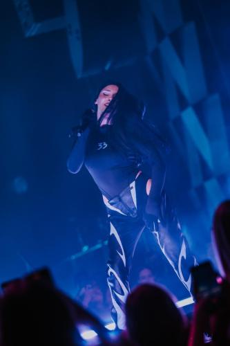 Pam Rabbit, Fórum Karlín