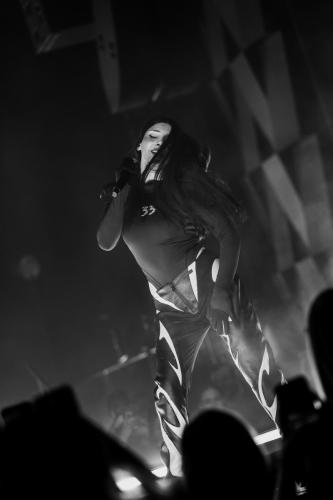 Pam Rabbit, Fórum Karlín