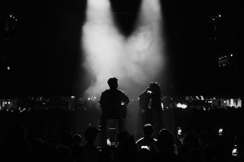 Pam Rabbit, Fórum Karlín