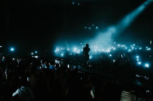 Pam Rabbit, Fórum Karlín